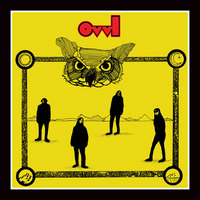 OWL(US) / Owl