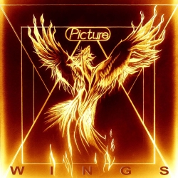 PICTURE (Netherlands) / Wings