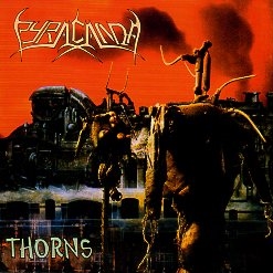 PYRACANDA (Germany) / Thorns