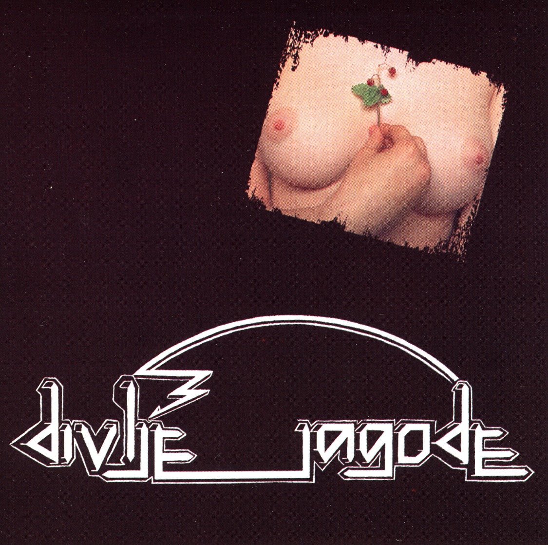 DIVLJE JAGODE (Bosnia and Herzegovina) / Divlje Jagode