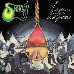 SHAGGY (Sweden) / Lessons For Beginners + 4