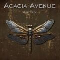 ACACIA AVENUE (Denmark) / Chapter V