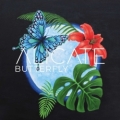 ALICATE (Sweden) / Butterfly
