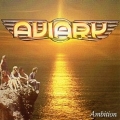 AVIARY (US) / Ambition