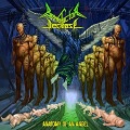 BENEFACTOR DECEASE (Greece) / Anatomy Of An Angel