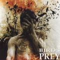 ALEXIS (Chile) / Birds Of Prey