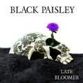 BLACK PAISLEY (Sweden) / Late Bloomer