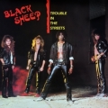 BLACK SHEEP (US) / Trouble In The Streets