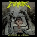 CHEMICIDE (Costa Rica) / Episodes Of Insanity