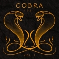 COBRA 1981 (Finland) / Vol. 1