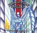 DESOLATION ANGELS (UK) / While The Flame Still Burns