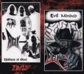 EDGUY (Germany) / Children Of Steel + Evil Minded (collector's item)