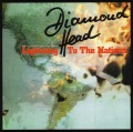 DIAMOND HEAD (UK) / Lightning To The Nations + 8