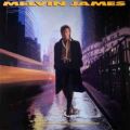 MELVIN JAMES (US) / The Passenger