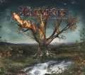 ELEMENTS (Finland) / Northern Echoes