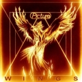 PICTURE (Netherlands) / Wings