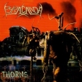 PYRACANDA (Germany) / Thorns