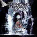 RANDOM EYES (Finland) / Invisible