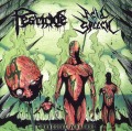 ACID SPEECH(Brazil) & PESTICIDE(Brazil) / Corrosive Warfare