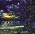 VISION/THE OTHER SIDE OF GREY