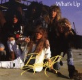 BOULEVARD (Sweden) / What's Up (collector's item)