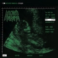 WICKED MARAYA (US) / Cycles - 30th Anniversary Edition