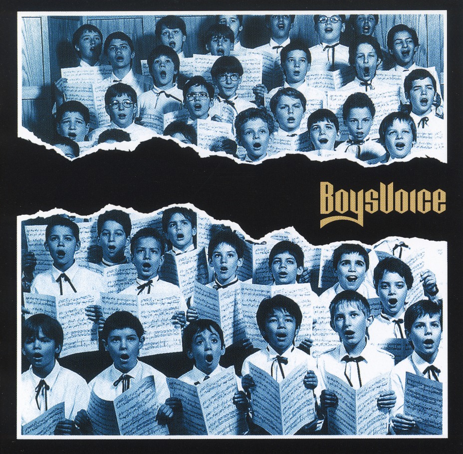 BOYSVOICE (Germany) / Boysvoice (collector's item)