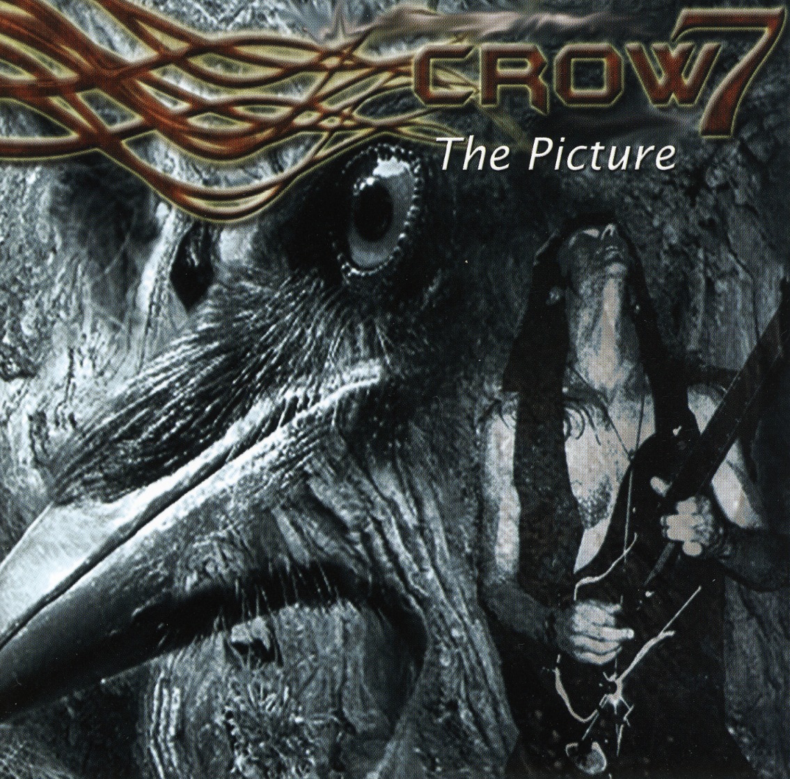 CROW 7(Germany) / The Picture