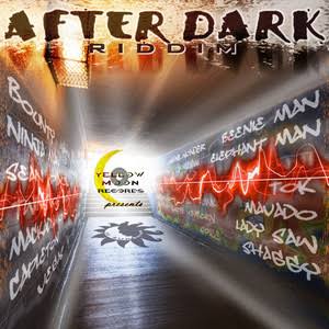 V.A. / AFTER DARK and DISTURBED RIDDIM