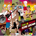 VA / HOME GROWN TIME IS REGGAE