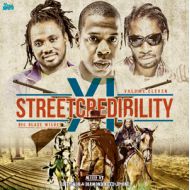 DIAMOND NUTZ & DJ TY-KOH/ STREET CREDIBILITY 11(CD)