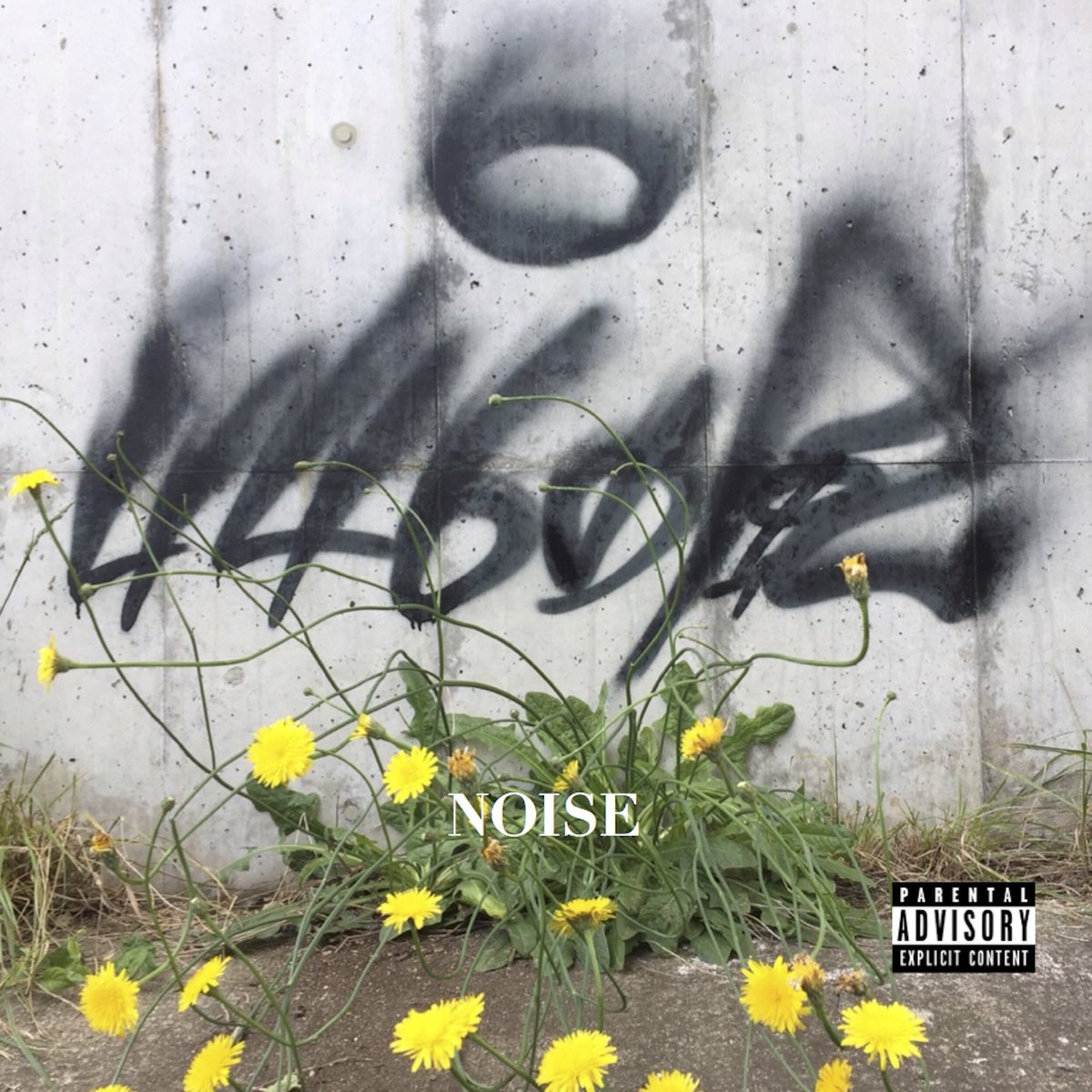 NOISE / 446の風