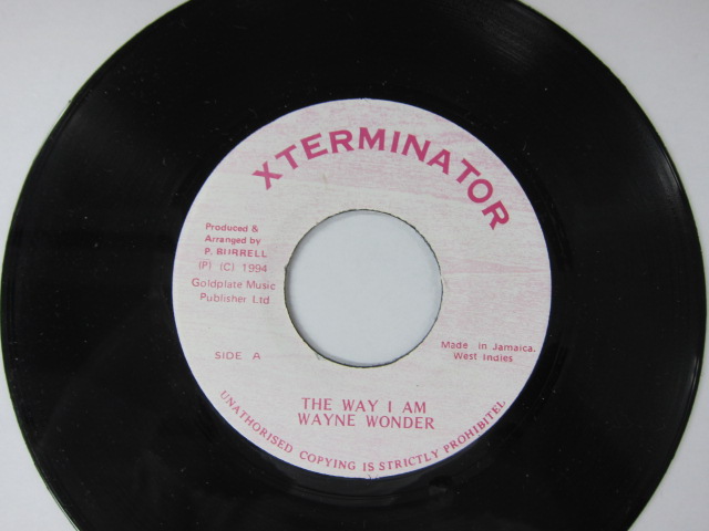 WAYNE WONDER / THE WAY I AM / JAVA RIDDIM / XTERMINATOR