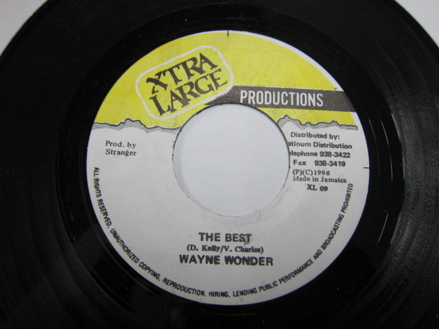 WAYNE WONDER / THE BEST / HAUNTED RIDDIM / XTRA LARGE