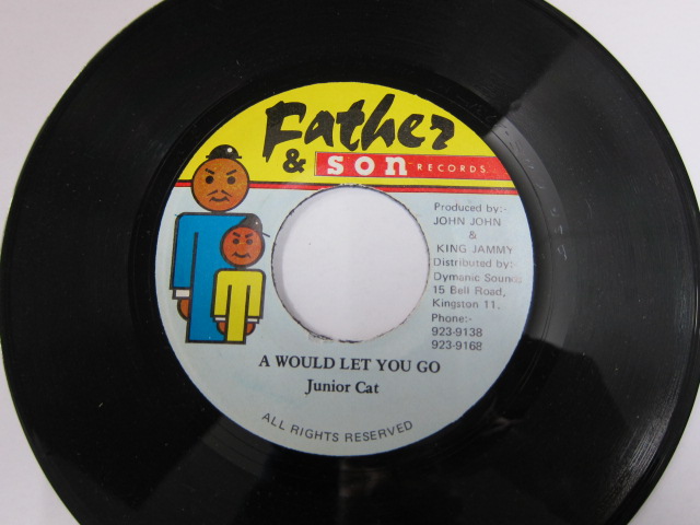 JUNIOR CAT / A WOULD LET YOU GO / HEVENLESS RIDDIM / FATHER & SON