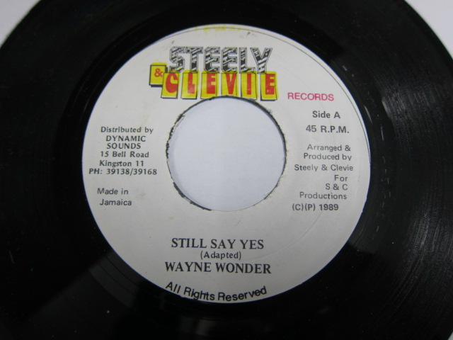 WAYNE WONDER / STILL SAY YES / DARKER SHADE OF BLACK RIDDIM / STEELY & CLEVIE 