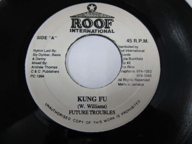 FUTURE TROUBLE / KUNGFU / BUTTERFLY RIDDIM / ROOF INTERNATIONAL