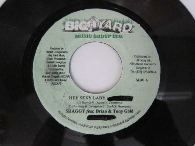 SHAGGY feat BRIAN TONY GOLD / HEY SEXY LADY / BIG YARD