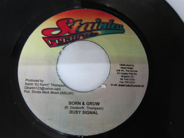 BUSY SIGNAL / BORN & GROW / STAINLESS