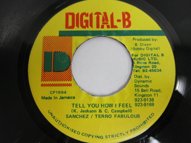SANCHEZ . TERRO FABULOUS / TELL YOU HOW I FEEL / DIGITAL-B