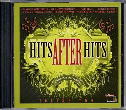 V.A. / HITS AFTER HITS VOL 2