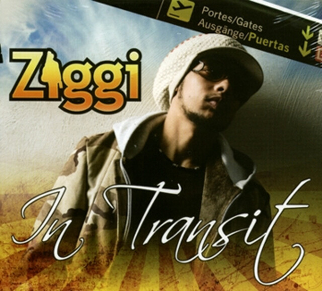 ZIGGI / IN TRANSIT