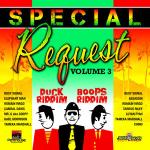 V.A. / SPECIAL REQUEST VOL 3