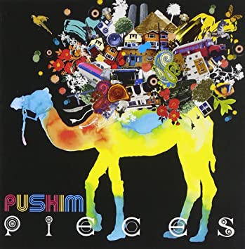 PUSHIM / PIECES