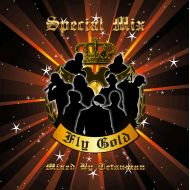 TETSUMAN from THUNDER HEAD / FLY GOLD SPECIAL MIX (CD)