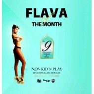 NEW KID’N PLAY【DJ GEORGE & MC MOGGYY】 / FLAVA OF THE MONTH Vol,9(CD)