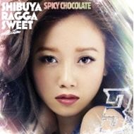 SPICY CHOCOLATE / 渋谷 RAGGA SWEET COLLECTION 3(CD)
