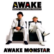 AWAKE MONSTAR /   AWAKE
