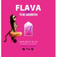 NEW KID’N PLAY【DJ GEORGE & MC MOGGYY】 / FLAVA OF THE MONTH Vol,13