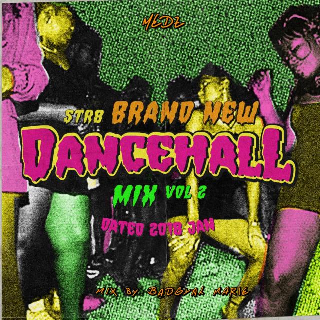 MEDZ / STR8 BRAND NEW DANCEHALL MIX Vol.2 -Dated JAN 2018- mixed by BAD GYAL MARIE from MEDZ